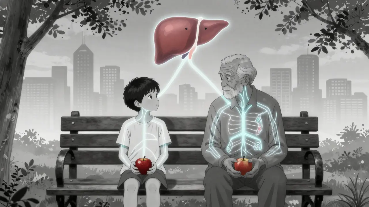 A child and elderly person sharing an apple, with glowing metabolic pathways connecting to a shared liver symbol.